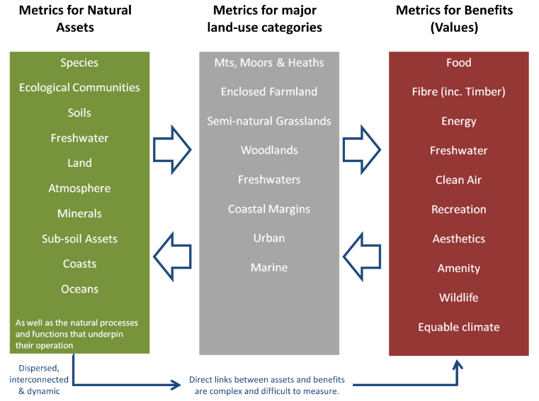 Diagram: Metrics for natural capital assets (text description at end of page)