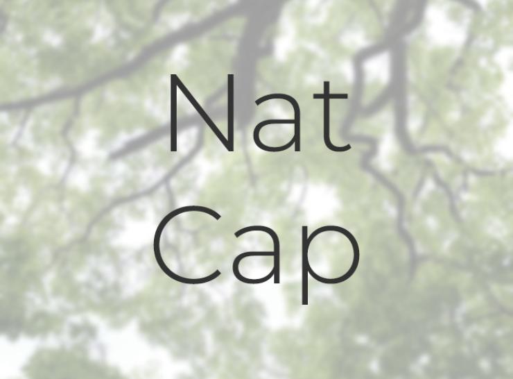 Natural Capital