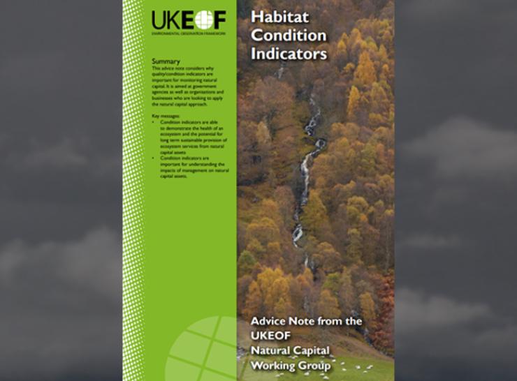 NCWG Habitat Condition Indicators advice note cover