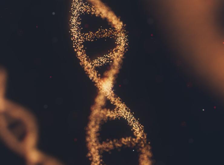 Stylised image of a DNA double helix